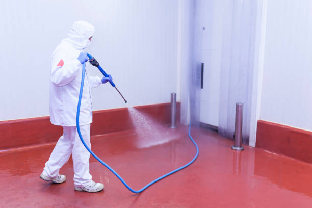 Professional Pressure Washing in Rancho Alegre, TX