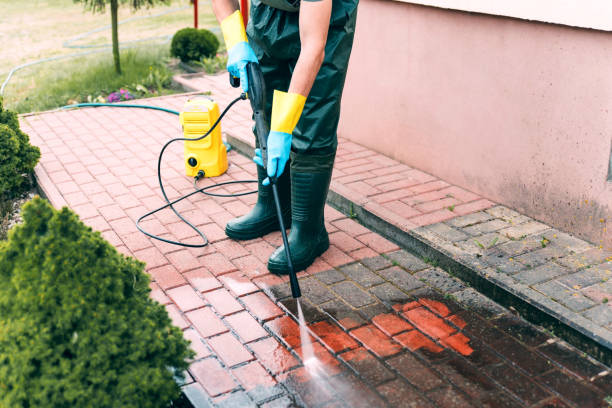 Best Patio and Deck Pressure Washing  in Rancho Alegre, TX
