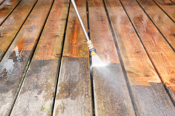 Best Dumpster Area Cleaning  in Rancho Alegre, TX